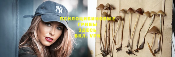 apvp Надым