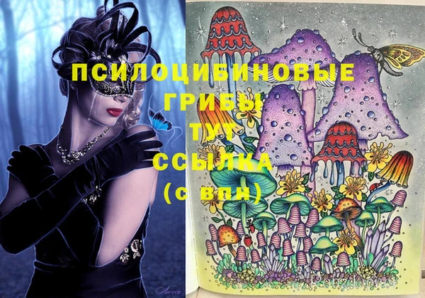 apvp Надым