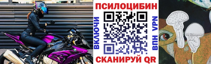 Галлюциногенные грибы Psilocybe  Самара 