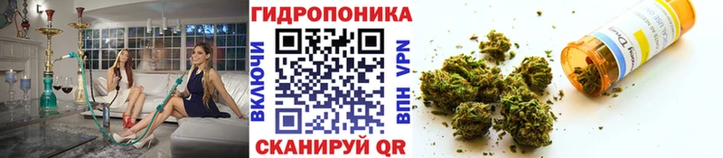 цена наркотик  Самара  Шишки марихуана Bruce Banner 